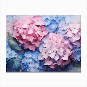 Hydrangeas 26 Canvas Print