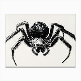 Black Widow Spider Canvas Print