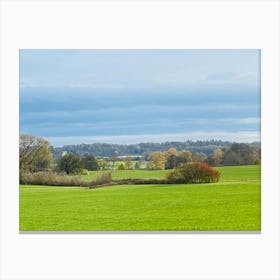 Field With Trees 1 Canvas Print