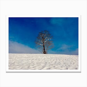 Snow Tree Canvas Print