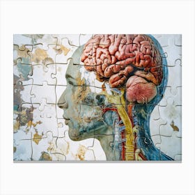 Human Brain Canvas Print