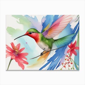 Colorful Hummingbird Canvas Print