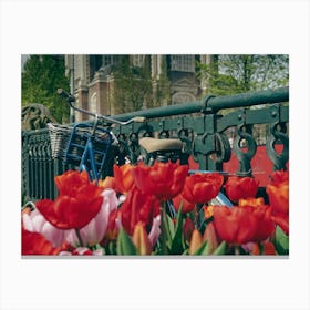 Amsterdam Tulips Canvas Print