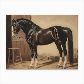 Black Horse In A Stable Canvas Print