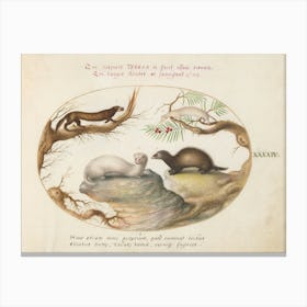 Animalia Qvadrvpedia Et Reptilia, Joris Hoefnagel 2 Canvas Print