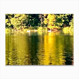 Swans In A Lake Canvas Print