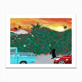 Sunset Bougainvillea And Cat Canvas Print