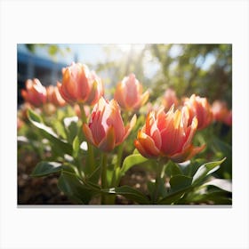 Tulips In The Garden Canvas Print