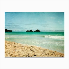 Hawaiian Beach 3 Canvas Print