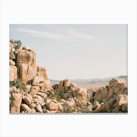 Joshua Tree Desert Boulders Canvas Print