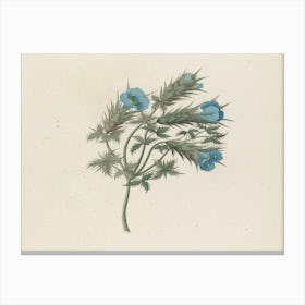 Blue Flower 1 Canvas Print