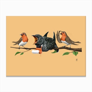 Cock Robin (Colour) Canvas Print