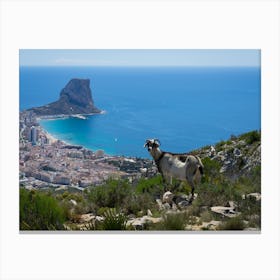 Mountain goat and Mediterranean coast in Calpe Canvas Print