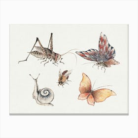 Katsushika Hokusai Insects And Snails Canvas Print