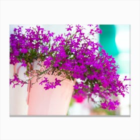Purple Flowers In A Pot Canvas Print