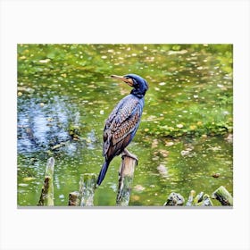 Majestic Cormorant by the Water. A striking cormorant perches on a weathered wooden post, its intricate feather patterns gleaming under the sunlight. The tranquil water reflects the lush greenery, creating a serene natural setting. Canvas Print