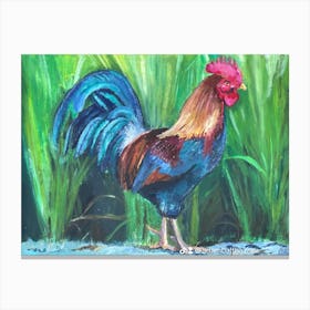 Cockerel Canvas Print