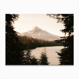 Mt. Hood Summer Forest Dreams Canvas Print