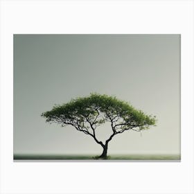 Lone Tree 2 Canvas Print