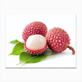 Lychee Fruit 15 Canvas Print