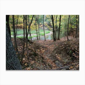 Trail In The Woods 1 Canvas Print