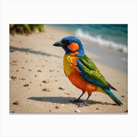 Beautiful Bird On A Sunny Beach 1 Of 3 Canvas Print