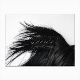 Black Hair Comb Canvas Print