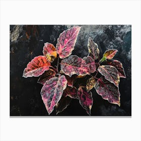 Hibiscus 2 Canvas Print