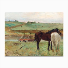 Horse In A Meadow,  Edgar Degas Canvas Print