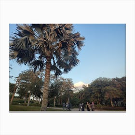 Palm Tree In The Park Canvas Print