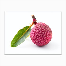 Lychee Fruit 12 Canvas Print