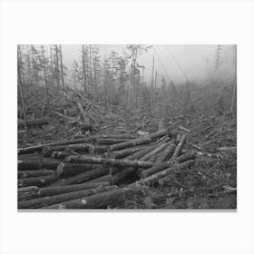 Untitled Photo, Possibly Related To Logs, Long Bell Lumber Company, Cowlitz County, Washington, In The Yard Canvas Print
