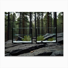 Two Aquariums In The Forest Canvas Print