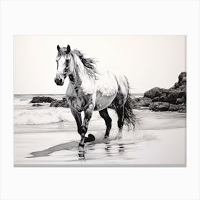 A Horse Oil Painting In Diani Beach, Kenya, Landscape 3 Canvas Print