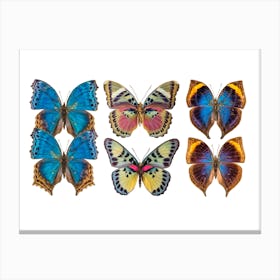 Collection Of Six Butterflies Blue Canvas Print