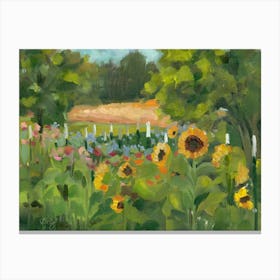 Sunshine On The Hay Mow Canvas Print