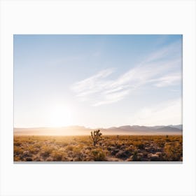 Nevada Desert Sunrise V Canvas Print