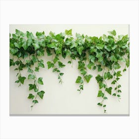 Ivy Leafs Canvas Print