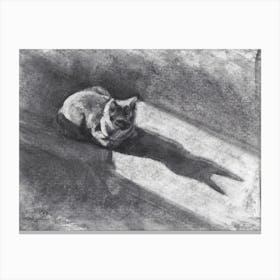 Shadow Cat Canvas Print