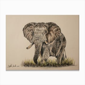 Elephant Canvas Print