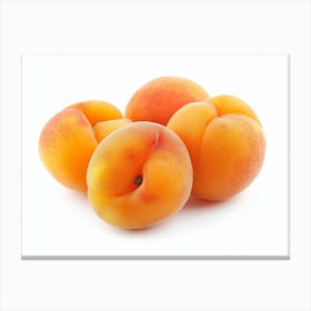 Apricots 10 Canvas Print