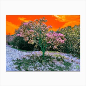 Tree In The Forest 2023071715492pub Canvas Print