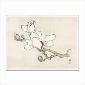 Magnolia, Kōno Bairei Canvas Print