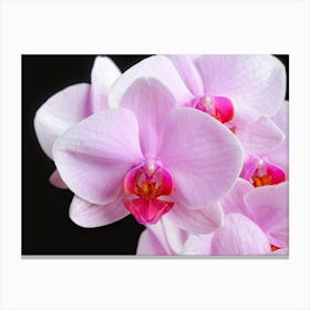 Blooming Orchid Flowers // Nature & Flower Photography Canvas Print