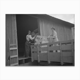 Southeast Missouri Farms, Loading Cook Stove On To Truck For Transporting To New Farm Unit By Russell Lee Canvas Print