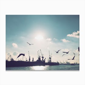 Seagulls at Hamburg Harbour 3 Canvas Print