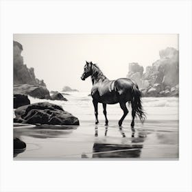A Horse Oil Painting In Camps Bay Beach, South Africa, Landscape 4 Canvas Print