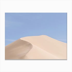 Some Sahara II Canvas Print