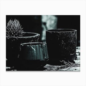 Pots And Cactus Canvas Print