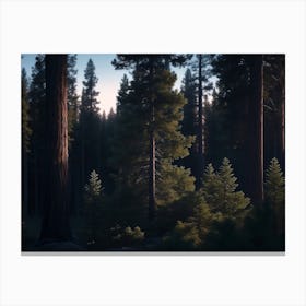 Profound Silence In The Heart Of A Black Pine Forest Canvas Print